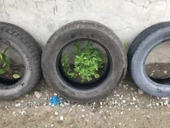 Firestone FR 10. ������, 2013 ���, �/�, ����� 10�% ����