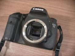 Canon EOS 7D. 15 - 19.9 ��, ���: ��� ���� ����