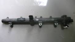 Топливная рейка. Hyundai: ix35, Elantra, Tucson, Trajet, Santa Fe Kia Cerato Kia X-Trek Kia Carens Двигатели: D4BB, D4BH