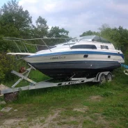 Bayliner. 1991 ���, ����� 7,83��., ��������� ������������, 250��.�., ������ ����