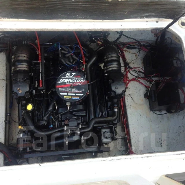 Bayliner. 1991 ���, ����� 7,83��., ��������� ������������, 250��.�., ������ ����