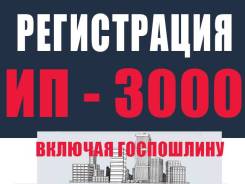 Регистрация ИП БЕЗ госпошлины, нотариуса, посещения налоговой 3 000р в Арсеньеве Регистрация ИП БЕЗ госпошлины, нотариуса, посещения налоговой 3 000р