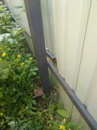 ������ �������. ����