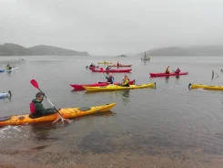 ������ SUP-�����. ����