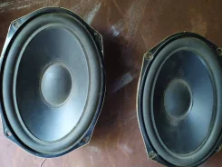 McIntosh ����