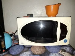 LG