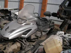Yamaha Viking Professional ����