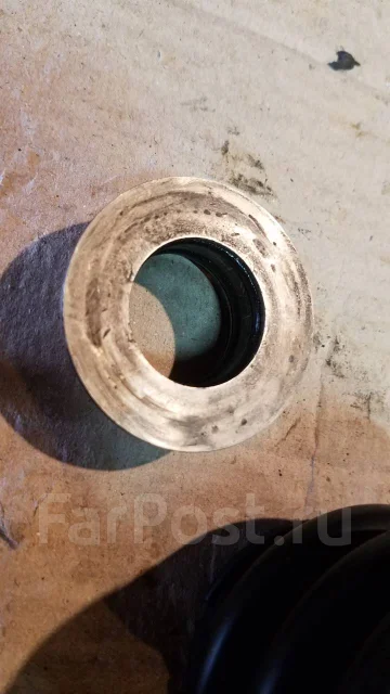 ���� ��������. ����