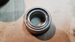 ���� ��������. ����