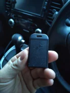 Black Bug. ����