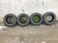 Farroad FRD79. ������, ��� �����, 2018 ���, �/�, ����� 5�% ����