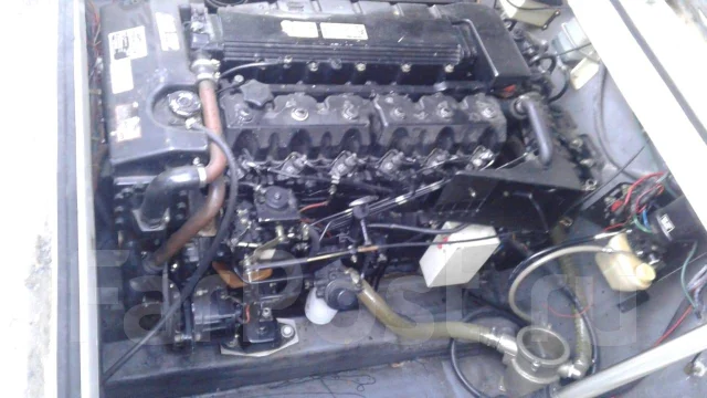 Bayliner. 1991 ���, ����� 8��., ��������� ������������, 180��.�., ������ ����