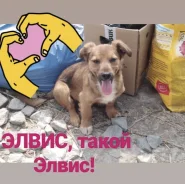 �����. ����
