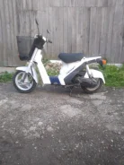 Suzuki Mollet. 49����. ��., ��������, ��� ���, ��� ������� ����