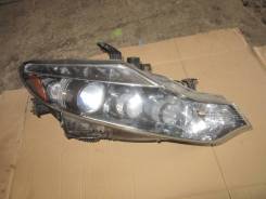 Фара правая Nissan Murano Z51 в Петрозаводске Фара. Nissan Murano, Z51, Z51R, Z51Z VQ35DE, YD25