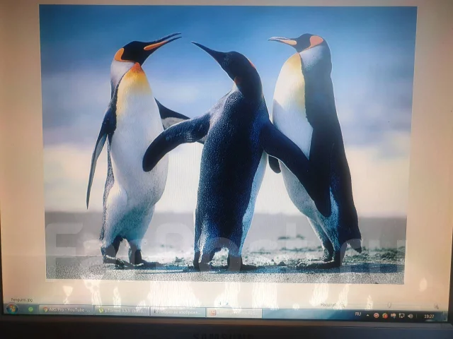 Samsung. 17". ��� ����� �� ������������ ����