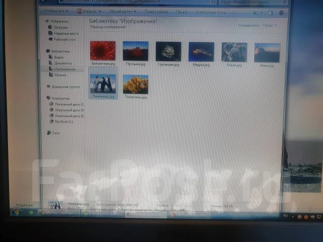 Samsung. 17". ��� ����� �� ������������ ����