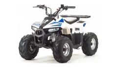 Motoland Eagle 110. ��������, ���� ���\���, ��� �������. ��� ����� �� �������� ����