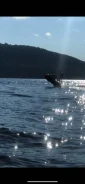 BRP Sea-Doo 3D ����