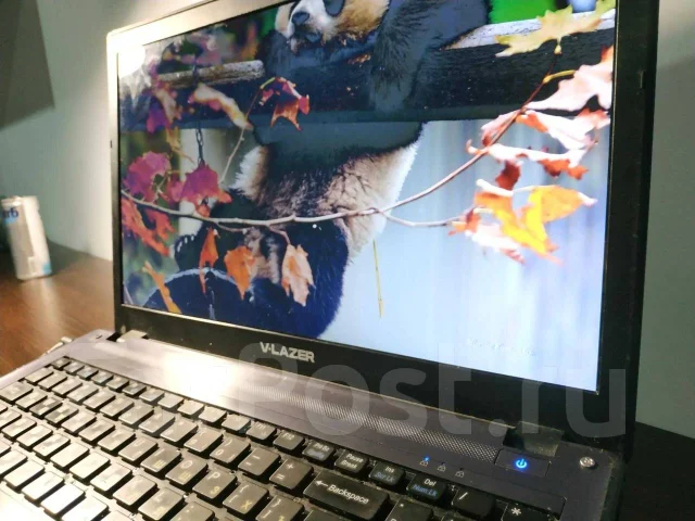 V-lazer. 15", 2,4����, ��� 4 ��, ���� 1 128���, WiFi: 1, Bluetooth: 1, ����������� �� 1��. ����