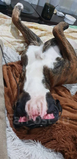 ������. ����