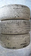 Dunlop SP Sport Maxx TT. ������, �/�, ����� 30�% ����