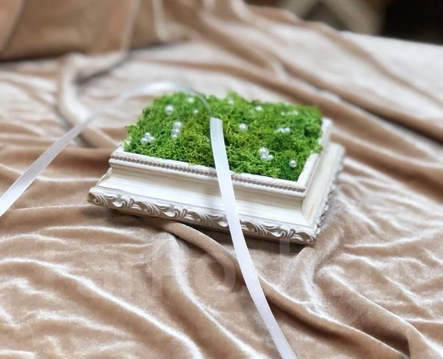 ������� ��� ����� ����