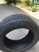 Landsail Winter Lander. ������, ��� �����, 2019 ���, �����
