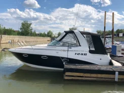 Rinker. 2008 ���, ����� 8,8��., ��������� ������������, 320��.�., ������ ����