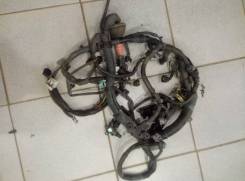 Моторная коса MR2 (ZZW30)1ZZF 8212117560 в Кирове Проводка двс. Toyota MR2, ZZW30 Двигатель 1ZZFE