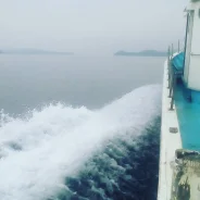 ��������� �� ����. ����