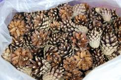 ����� �������� ����