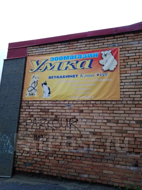 ����������. ����