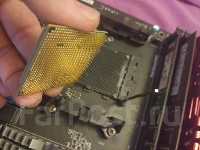 AMD Phenom II X6 1100T ����