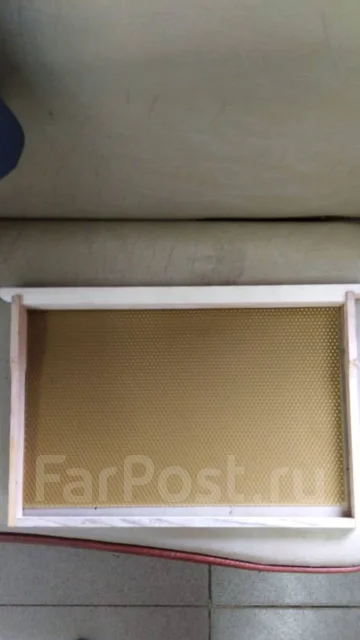 ������ ( ����� �� ���� ) ����