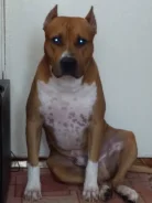 ������������ ��������������� ������. ����