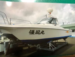 Tohatsu. 2002 ���, ����� 7,5��., ��������� ���������, 140��.�., ������. ��� ����� �� ������������ ����