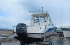 Yamaha FR-24. 1997 ���, ����� 8��., ��������� ���������, 115��.�., ������. ��� ����� �� ������������ ����