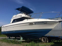 Bayliner. 1990 ���, ����� 8,00��., ��������� ������������, 220,00��.�., ������ ����