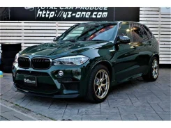 BMW X5. �������, 4wd, 4.4, ������, 28 000����. ��, �/�. ��� �����