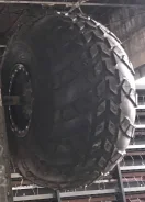 ������. �����������, 2019 ���, ����� ����