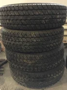 TyRex. ����� at, 2012 ���, �/�, ����� 90 % ����