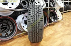 Triangle Snowlink PL01. ������, ��� �����, ����� ����