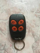 Leopard. ����