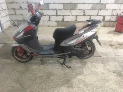Irbis Nirvana. 150����. ��., ��������, ���, � �������� ����