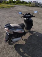 Irbis Nirvana. 150����. ��., ��������, ���, � �������� ����
