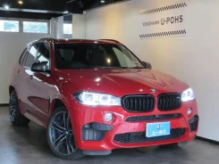BMW X5. �������, 4wd, 4.4 (575��.�.), ������, 10 000����. ��, �/�. ��� �����