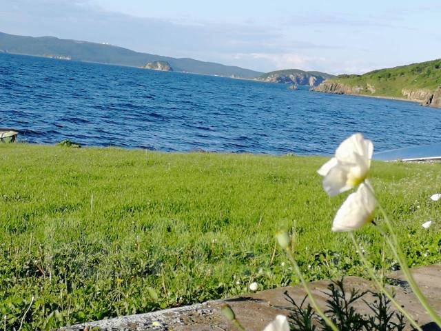 Остров рейнеке владивосток фото