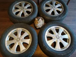 Kosei Elanza J1. 7.0x17", 4x98, 4x100, 5x100, 4x108, 5x108, 5x112, 4x114.3, 5x114.3, ET53 ����