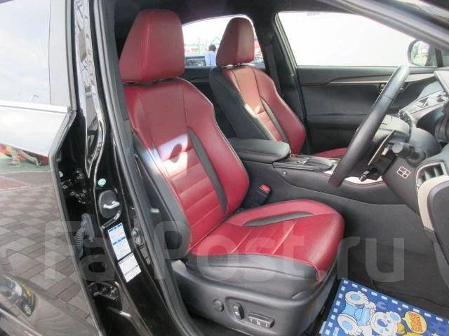 Lexus NX200. ��� ����� �� ������������ ����